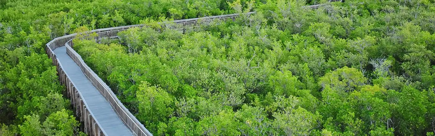 Off-road trails in undefined