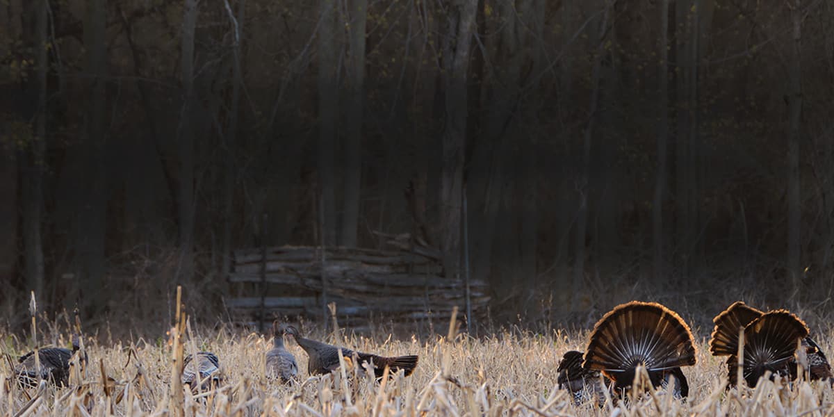 Wisconsin Turkey Zones Information, Maps and More onX