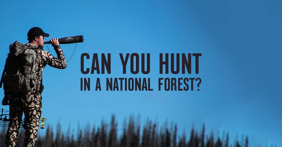 Can You Hunt In National Parks? The Surprising Truth