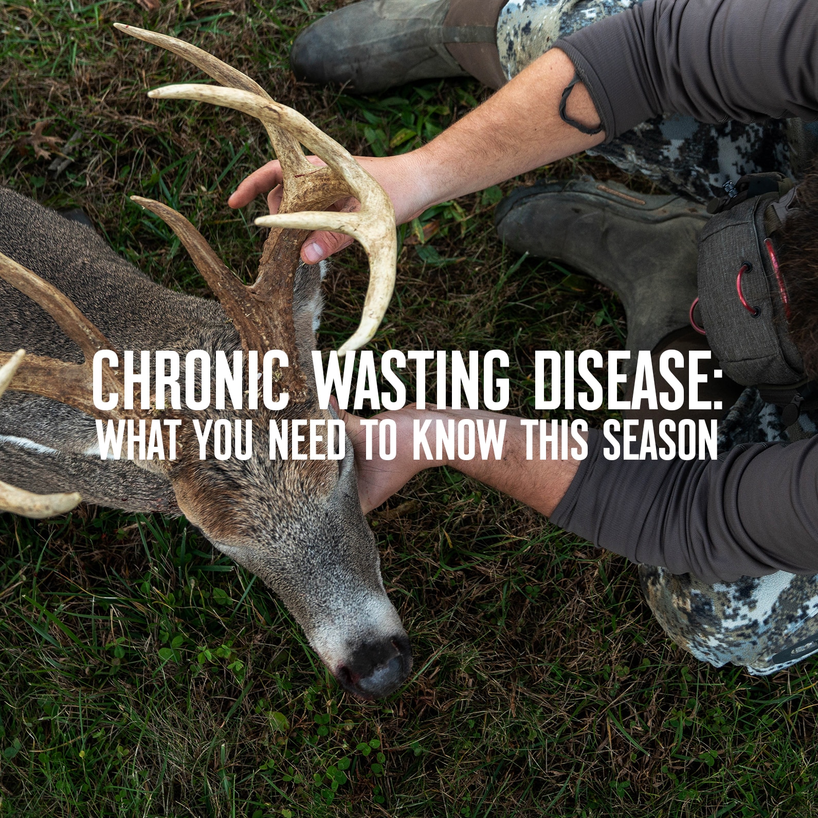 Chronic Wasting Disease: What You Need To Know This Season | OnX