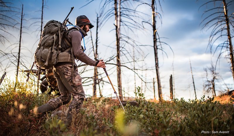 Public Land Hunting Tips and Tricks