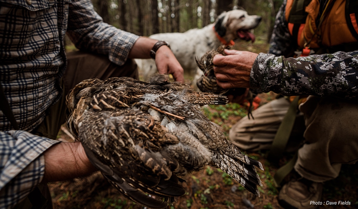 Two hunters and a dog with the grouse they harvested.