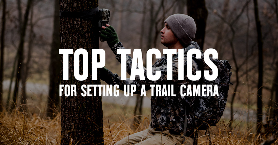 A hunter sets up a trail camera.