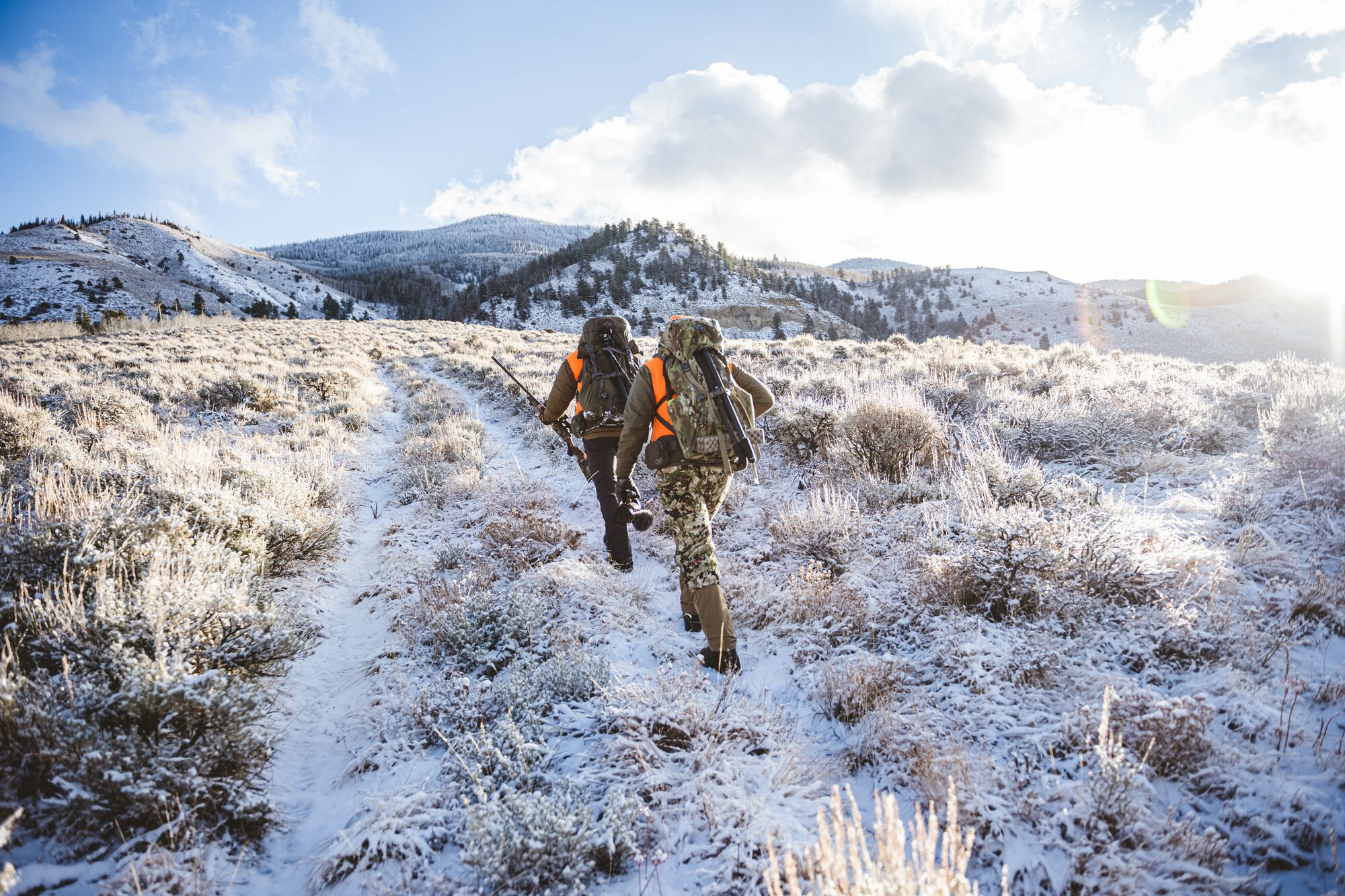 Colorado Big Game Draw How To Secure Colorado Elk Tags onX Hunt