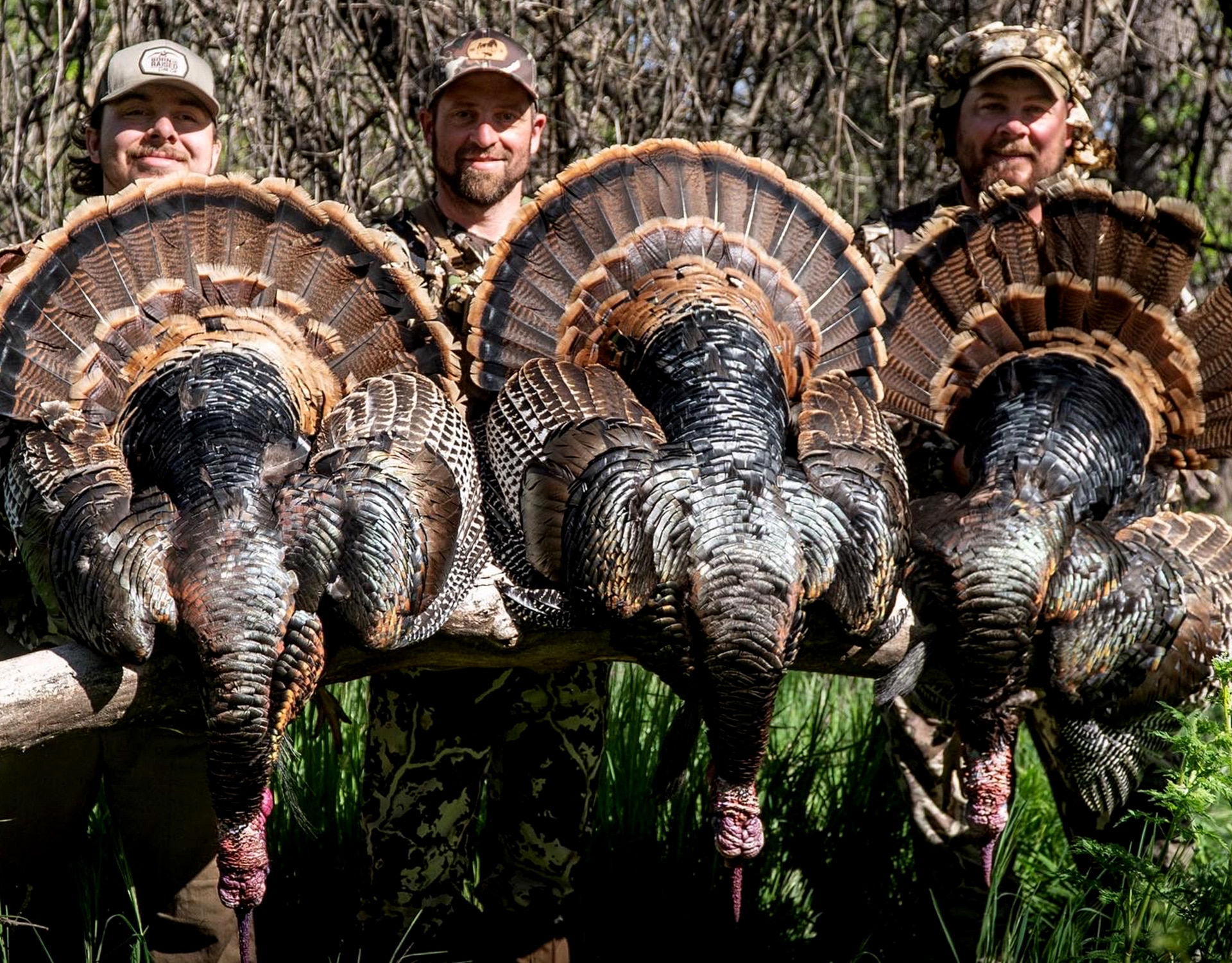 Born And Raised Outdoors: Five Steps To Kill a Public Land Turkey | onX ...