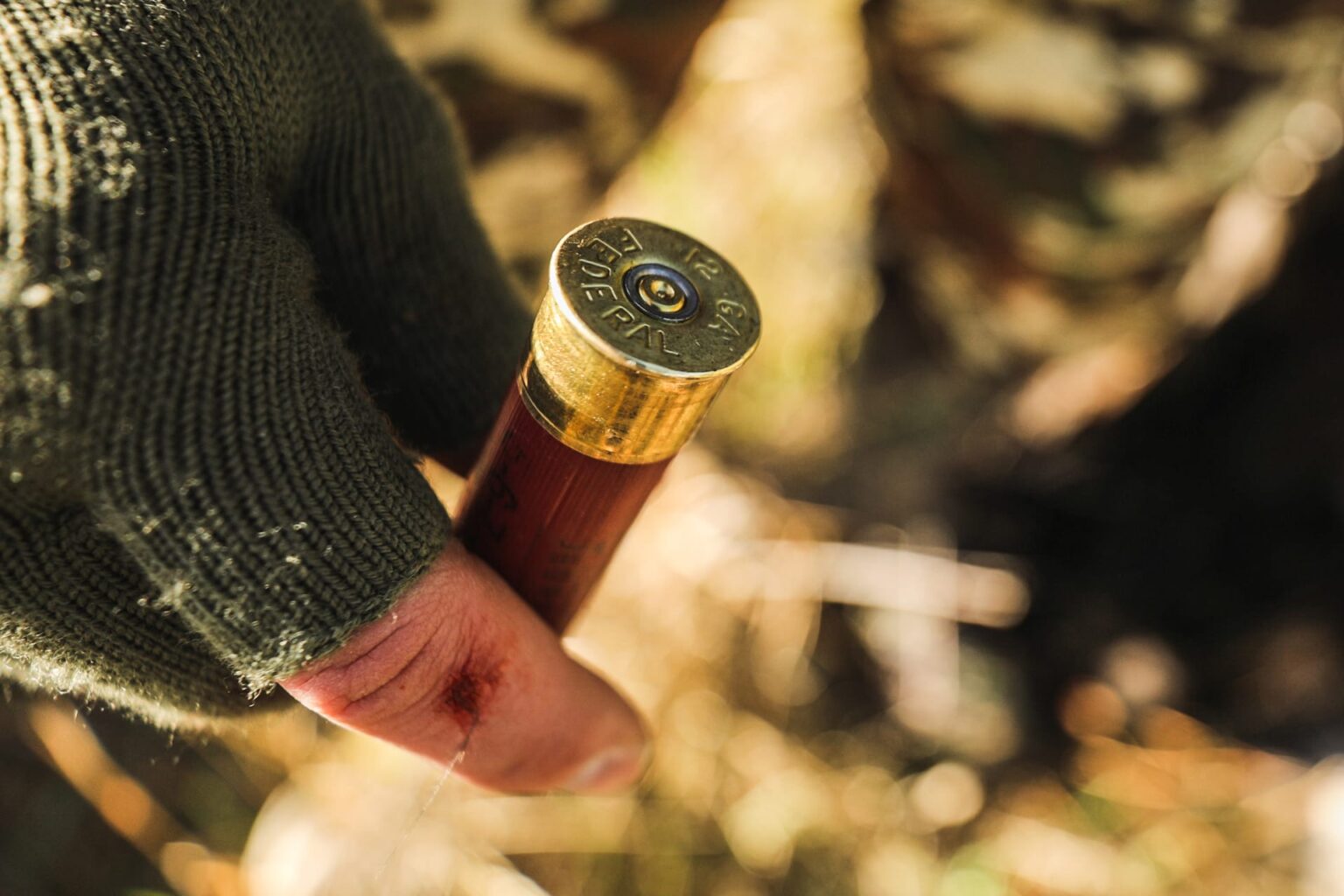 what shells for turkey hunting