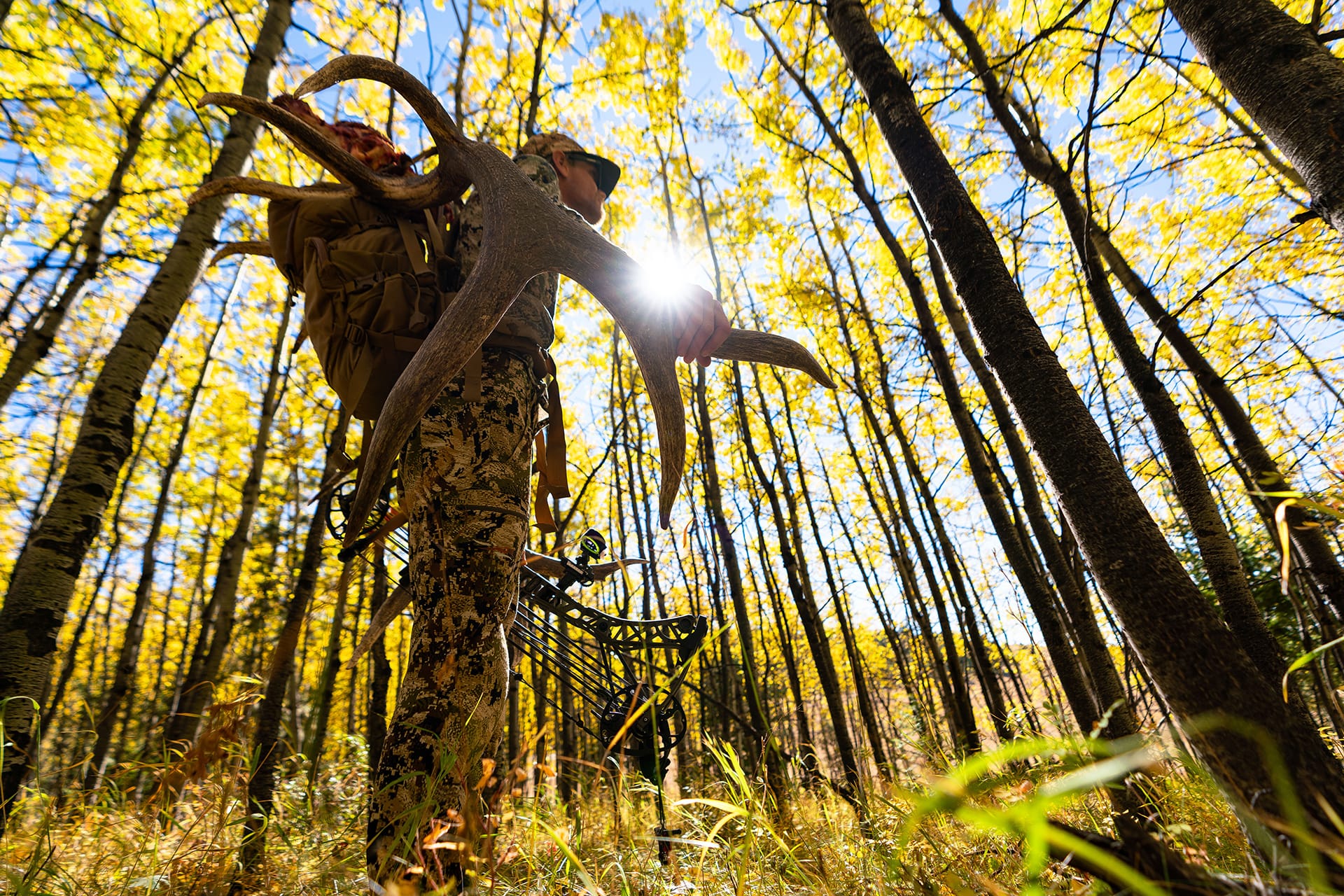 Top States For Elk Hunting: Data-Driven Insights & Tips | OnX Hunt