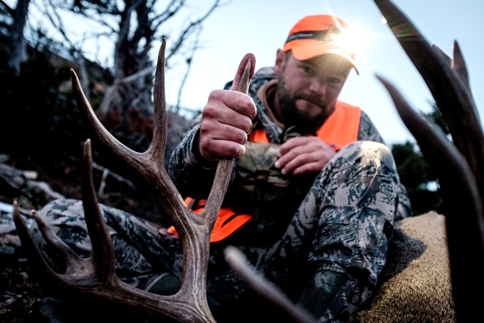 Top States for Elk Hunting DataDriven Insights & Tips onX Hunt