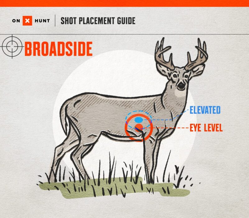 Where To Shoot A Deer Free Deer Shot Placement Chart Onx Hunt