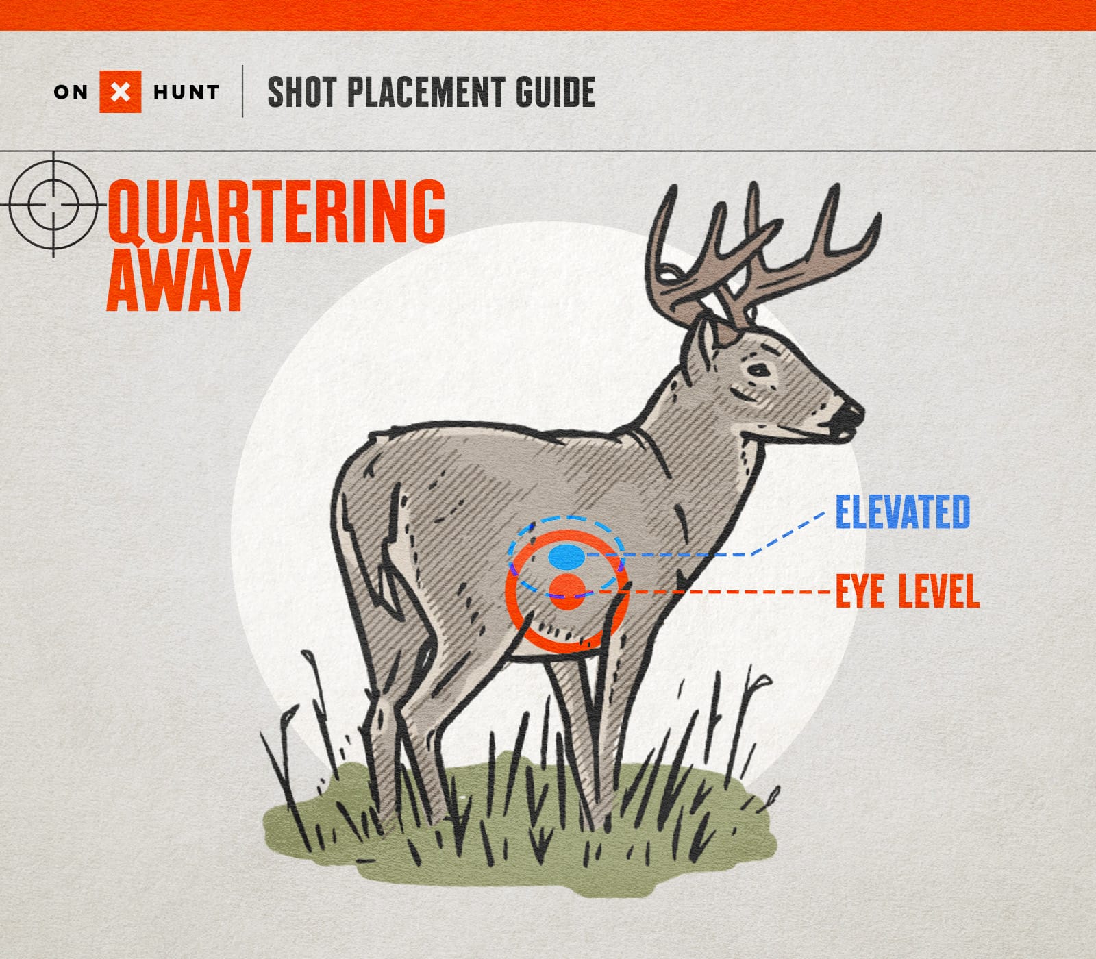 Where To Shoot a Deer Free Deer Shot Placement Chart onX Hunt
