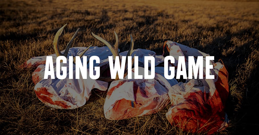 RBLXWild on X: How do you plan on spending your weekend at Wild