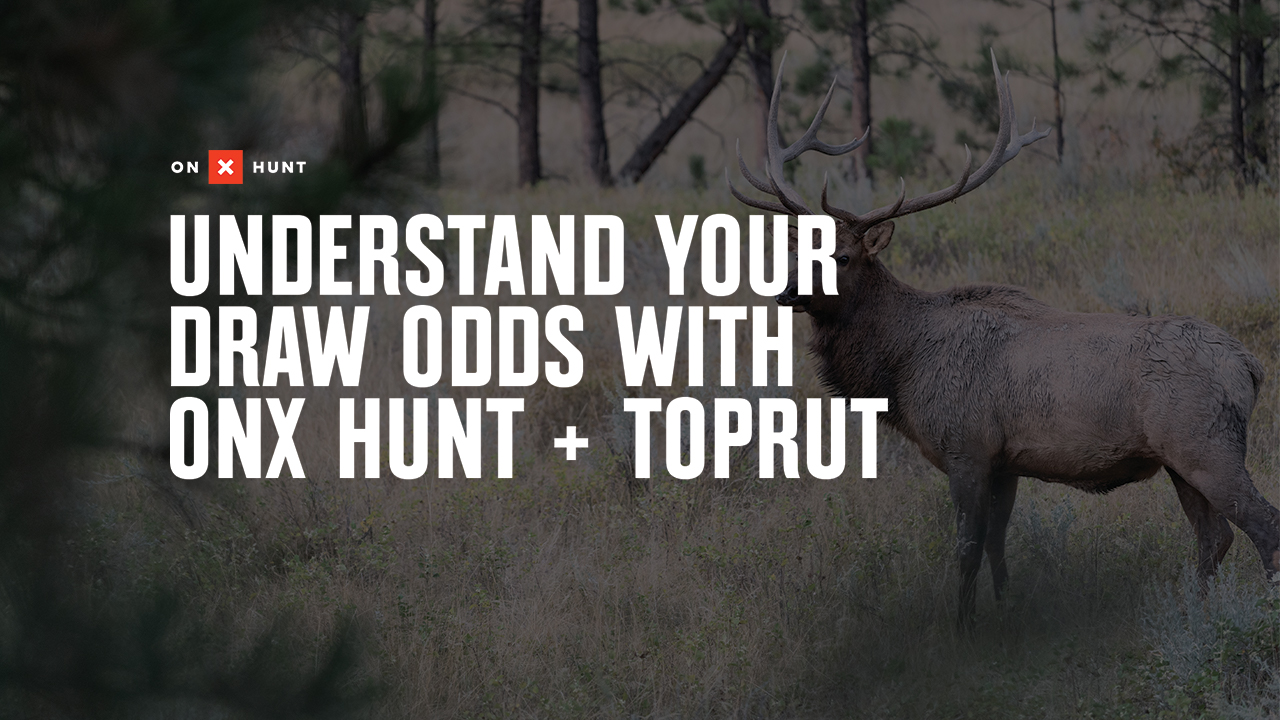 Understanding Bow Hunting Draw Odds  