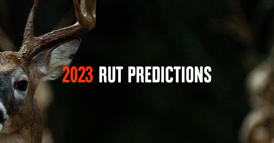 2023 Whitetail Forecast: The Best Days to Hunt - Petersen's Bowhunting