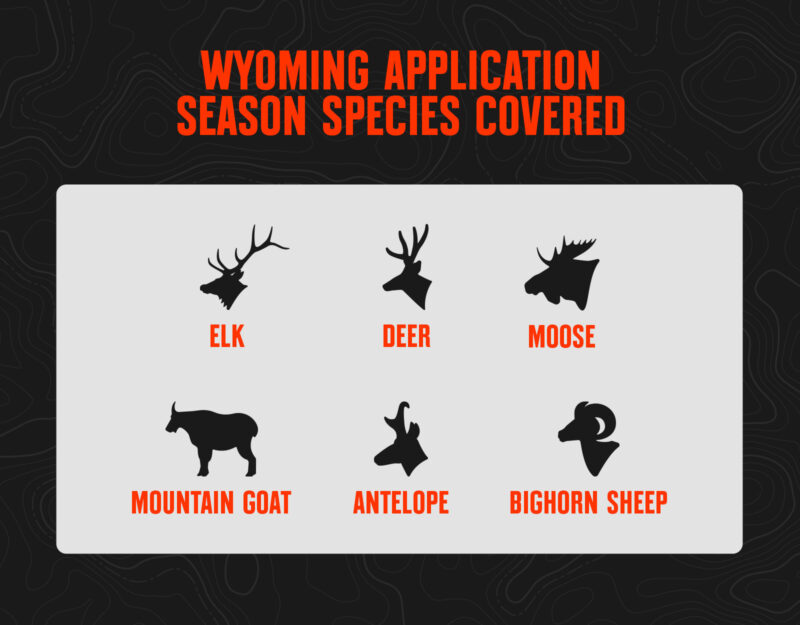 Wyoming Hunting Application Details For 2024 OnX Hunt   WY Hunting Application 2024 1600x1250 5 800x625 