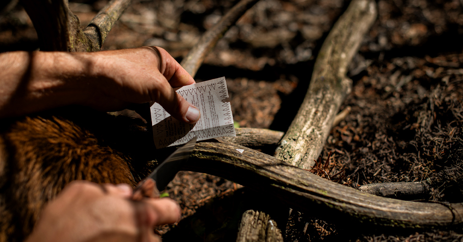 a hunter adding a tag to a set of antlers