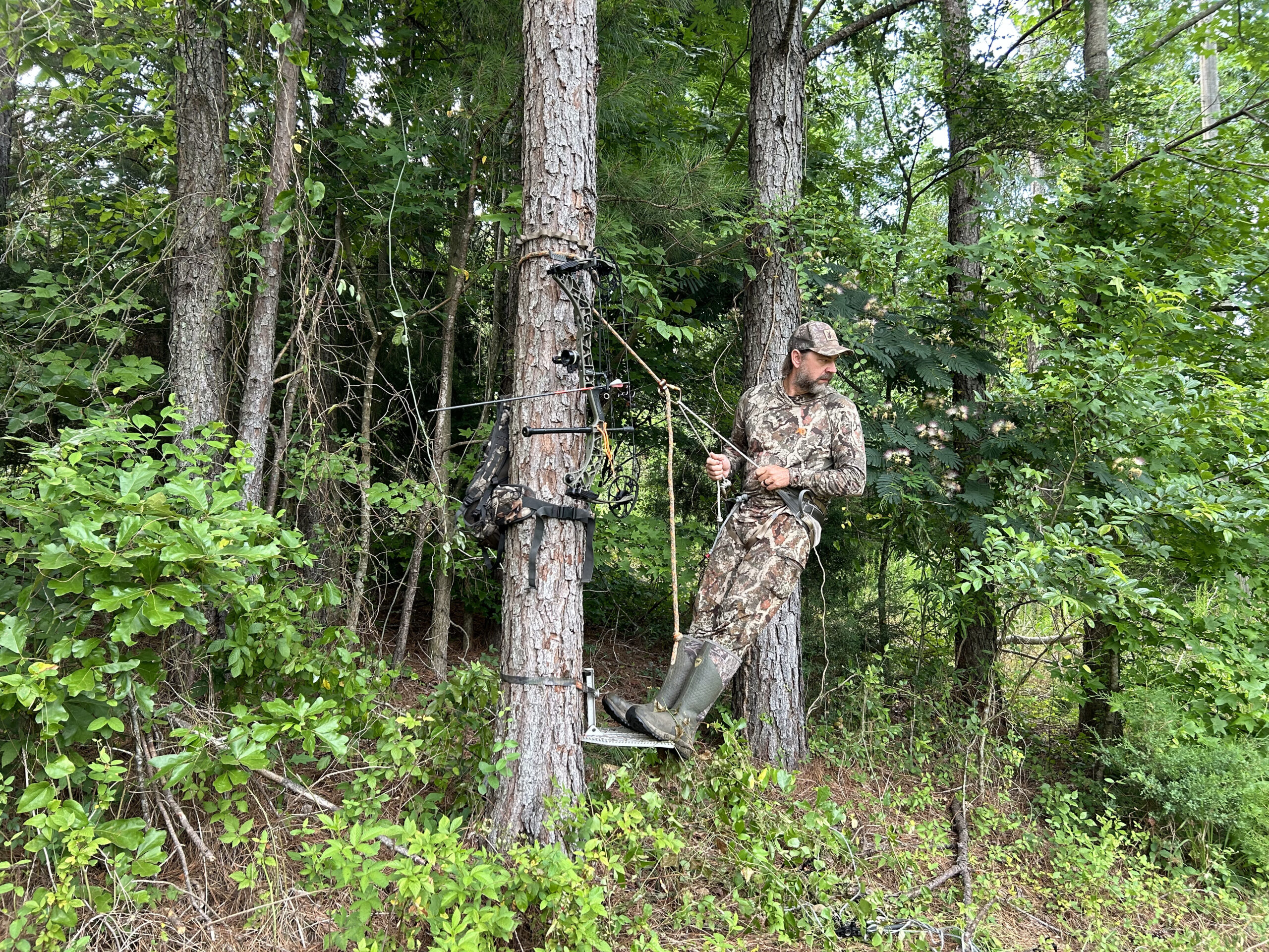 Hunter in a tree using a tree saddle set up 