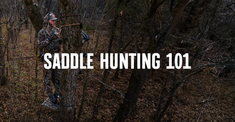 A man saddle hunting with "Saddle Hunting 101" overlaying the image.