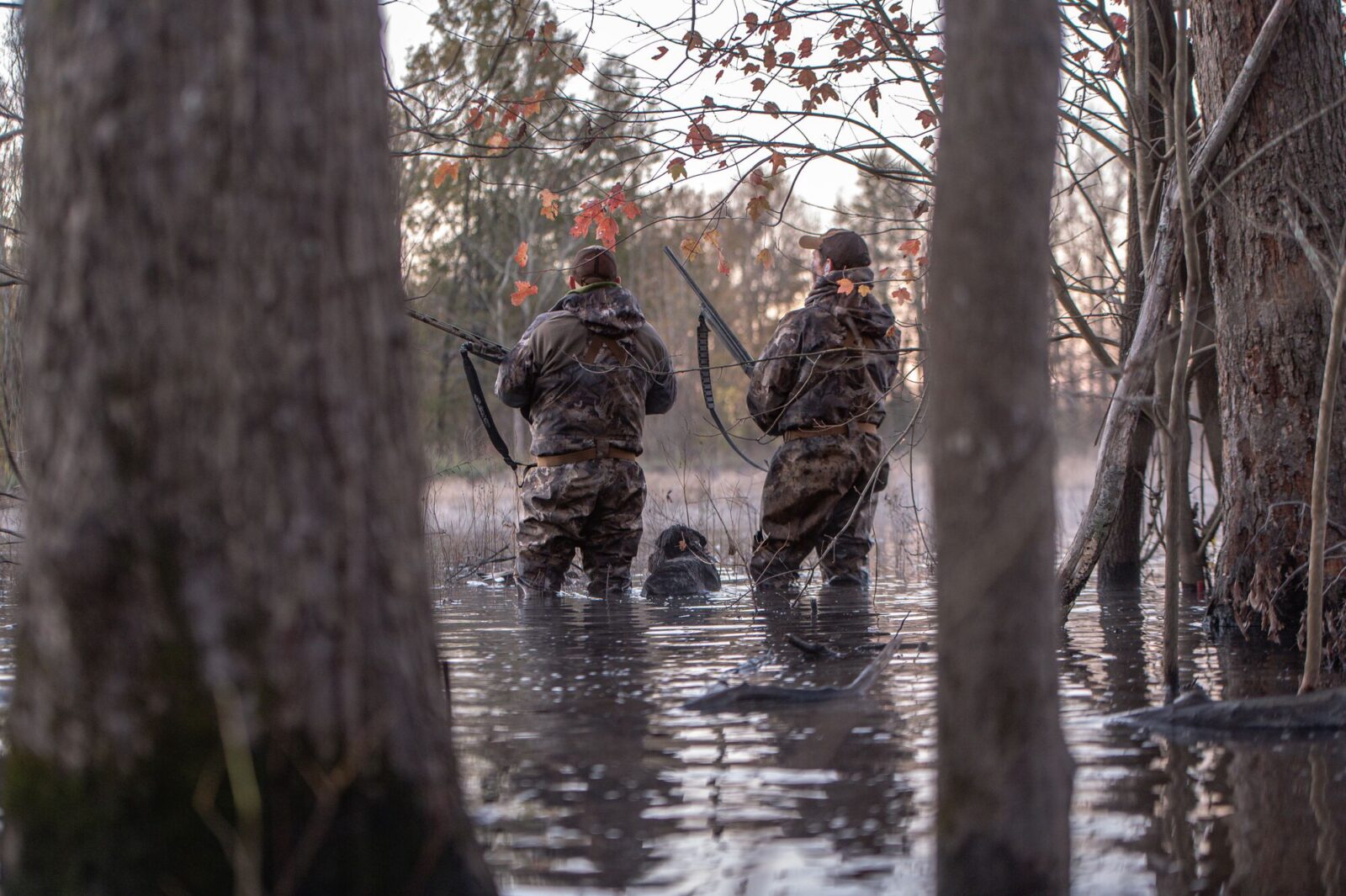 Two men hunt waterfowl with a dog.