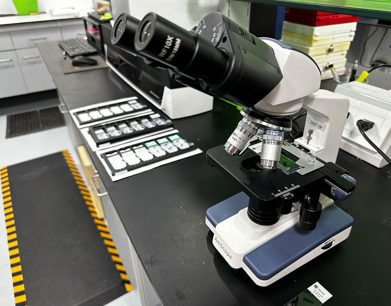 Samples ready to be examined under a microscope.