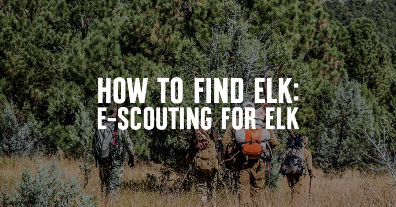 A group of elk hunters with text that reads "How To Find Elk: E-Scouting for Elk"