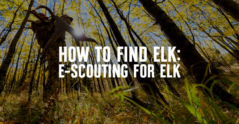 A bowhunter packs out a bull elk. "How To Find Elk" is overlaid.