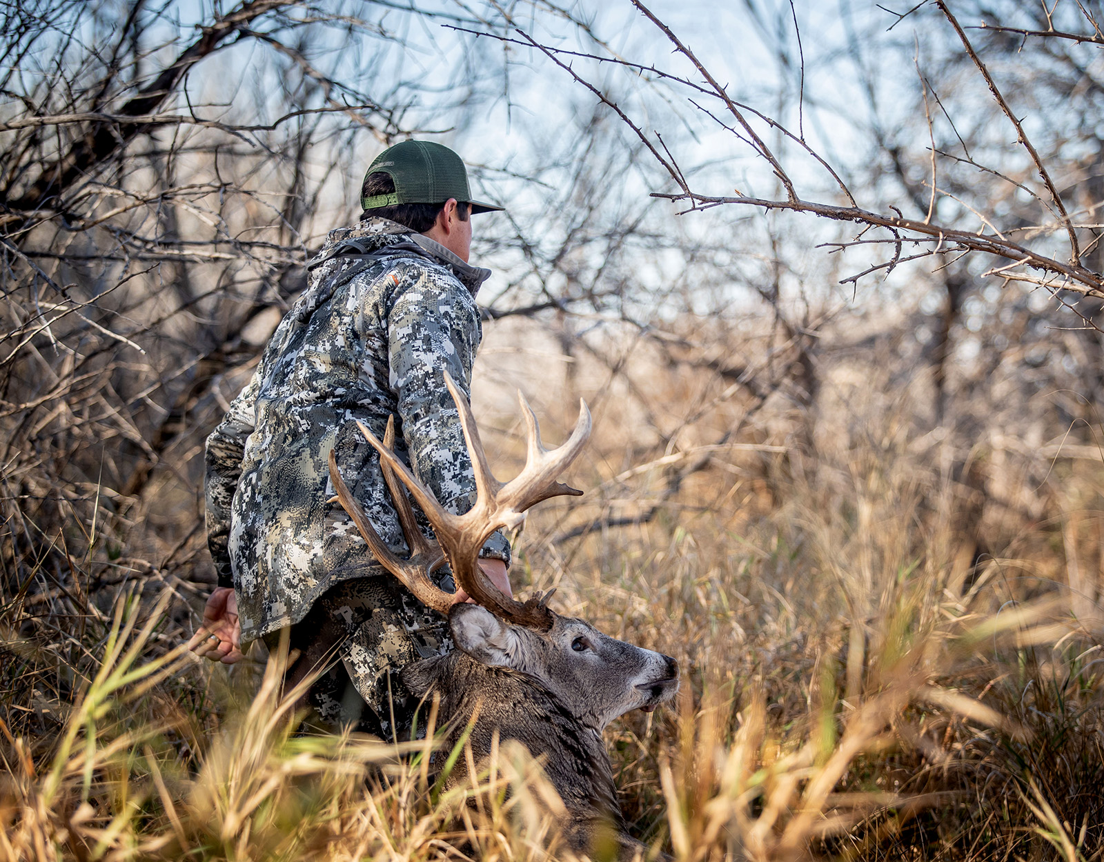 A hunter in camo dragging a buck he successfully harvested through a wooded forest. 