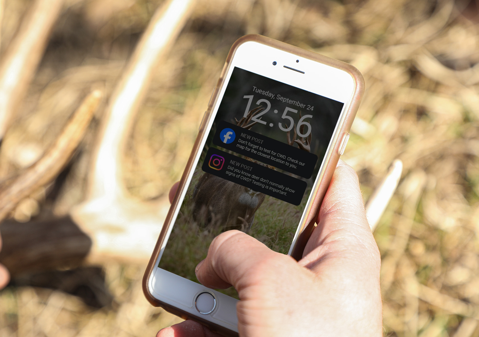 Mobile phone showing social media notifications while hunting.