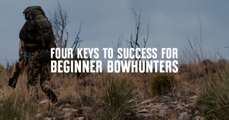 4 keys to success for beginner bowhunters