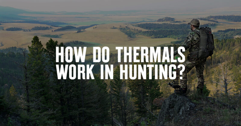 A hilly landscape with "How do thermals work in hunting?" overlaid.