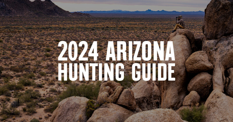 Arizona Hunting Guide