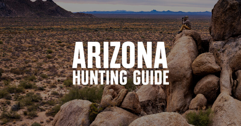 A person glassing a rocky landscape with "Arizona Hunting Guide" overlaid.