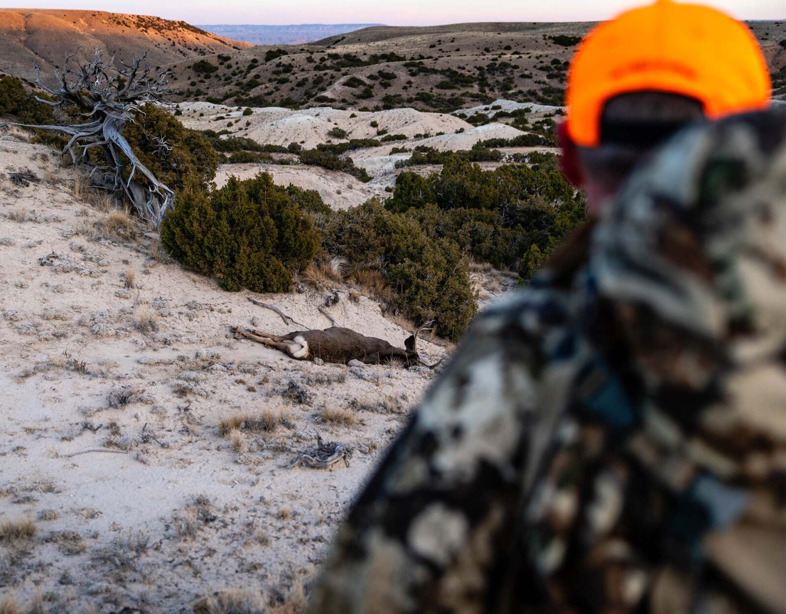 A hunter watches a deer they just downed.