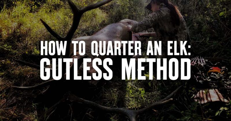 A hunter quarters an elk. Text reading "Gutless Method" is overlaid.