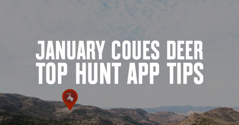 January Coues deer top hunt app tips