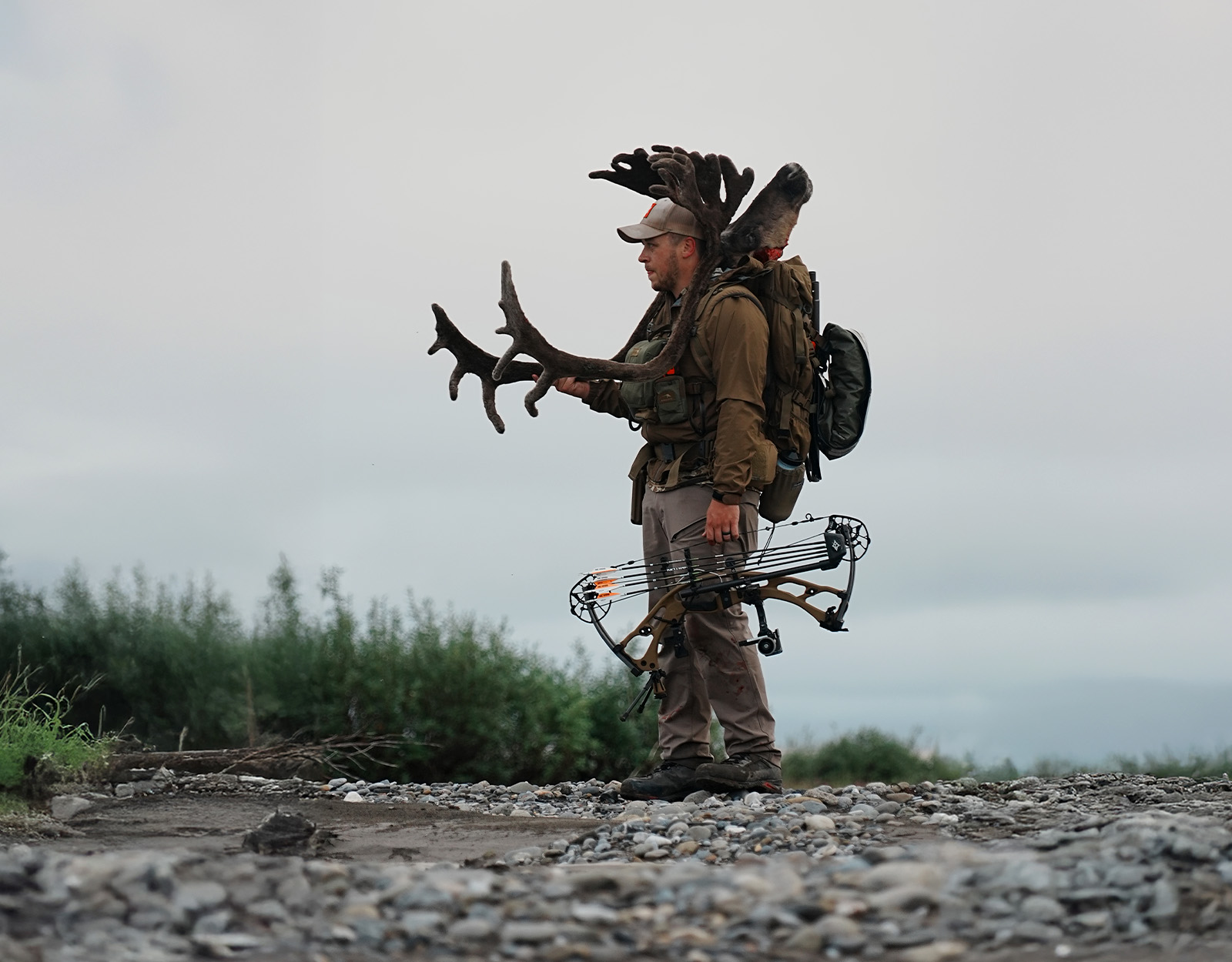 A bowhunter packs out a caribou.