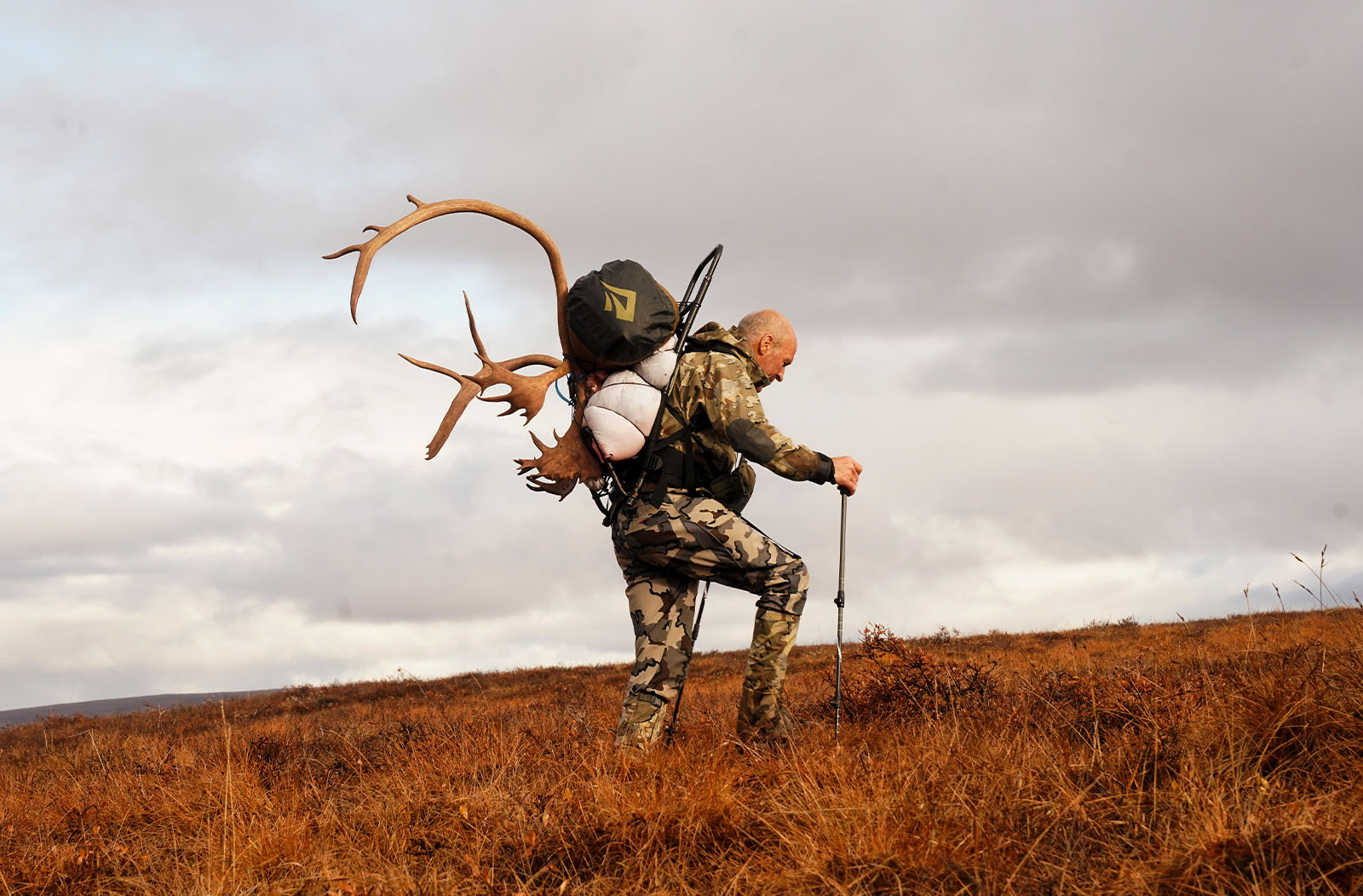 A hunter packs out a caribou.