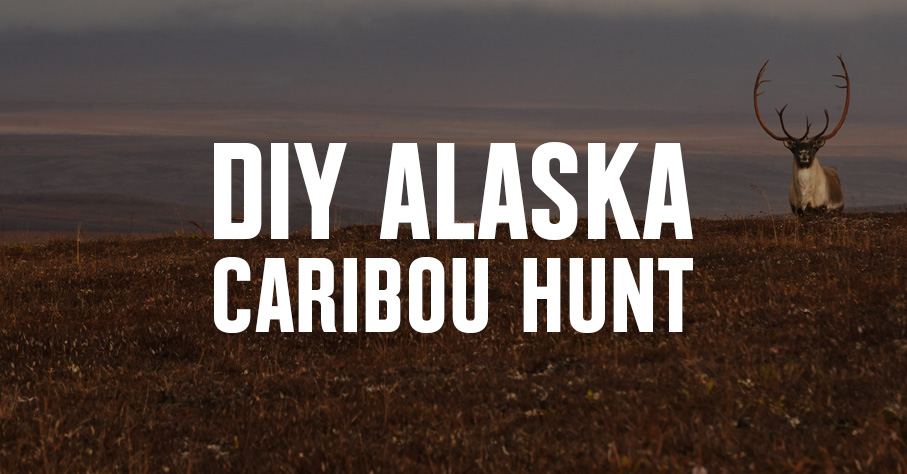 A bull caribou stands on the horizon with "DIY Alaska Caribou Hunt" overlaid.