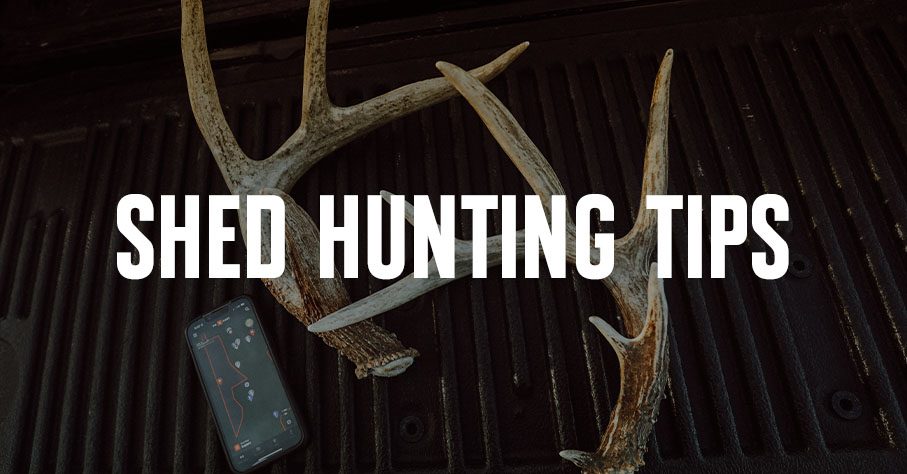 A matched set of deer sheds sits on a tailgate.